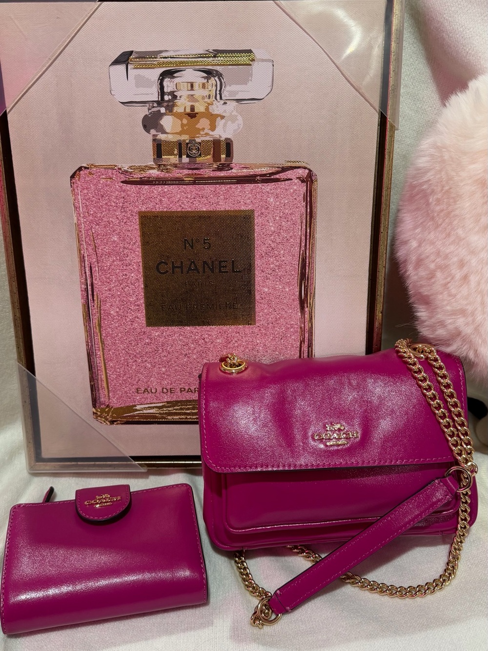 NWT 🩷Coach 🩷Women's Pink Leather Chain Shoulder Bag and wallet set🛍️